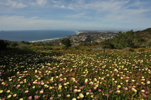No alto do Soledad Natural Park, com uma bela vista de San Diego, no sul da Califórnia - Estados Unidos